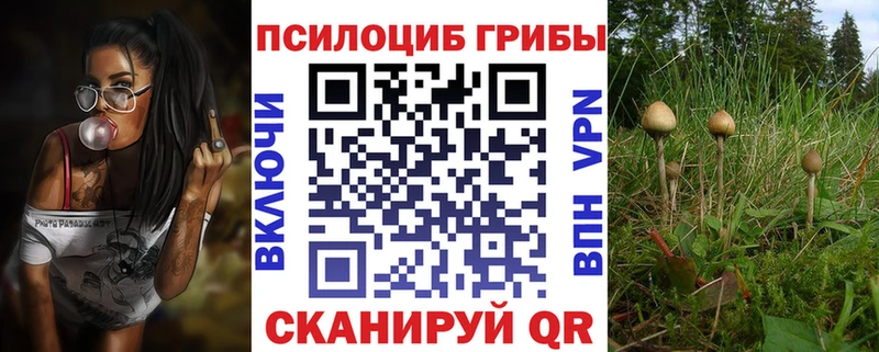 Галлюциногенные грибы MAGIC MUSHROOMS  цена наркотик  Катав-Ивановск 